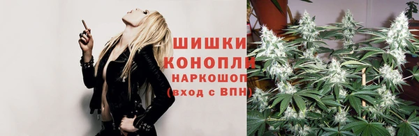 хмурый Абаза