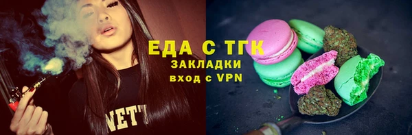 хмурый Абаза